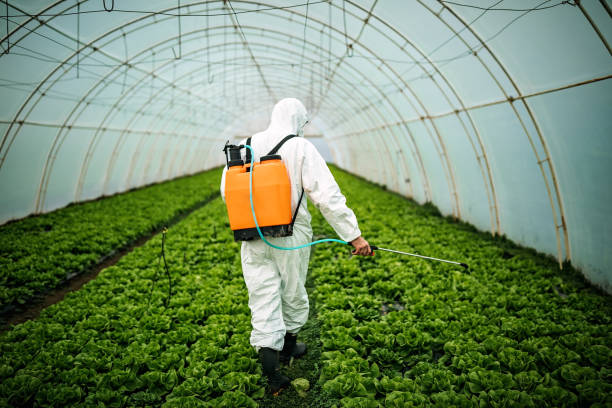 Best Pest Control for Restaurants  in Laguna Beach, CA