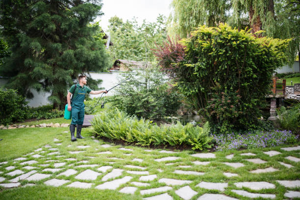 Best Best Pest Control Companies  in Laguna Beach, CA
