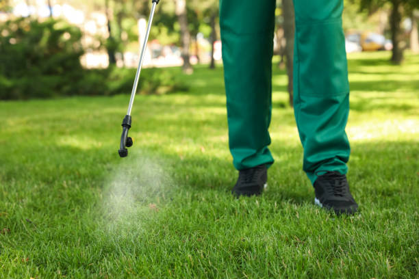 Best Pest Removal Services  in Laguna Beach, CA