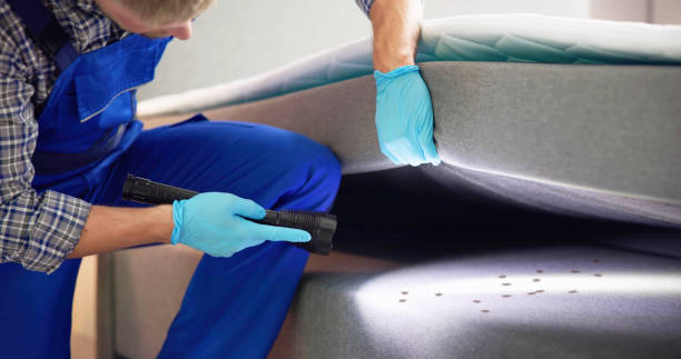 Best Pest Removal Services  in Laguna Beach, CA