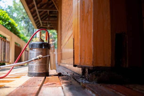 Best Pest Prevention Services  in Laguna Beach, CA