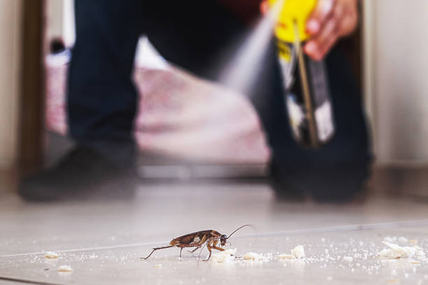 Best Bed Bug Extermination  in Laguna Beach, CA